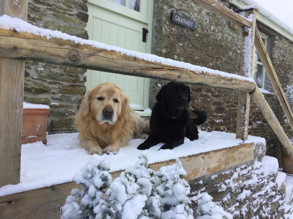 Trenderway Farm Bed & Breakfast Looe Eksteriør bilde