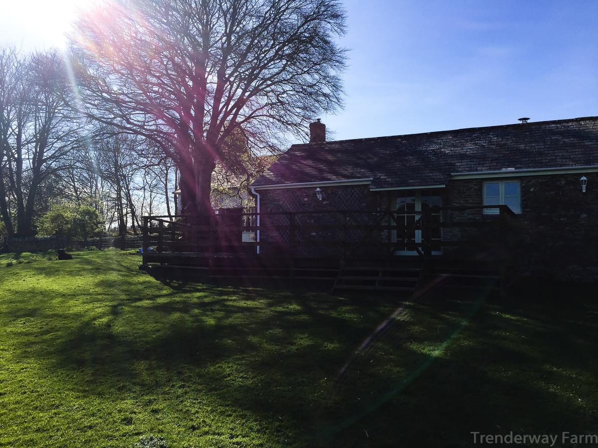 Trenderway Farm Bed & Breakfast Looe Eksteriør bilde