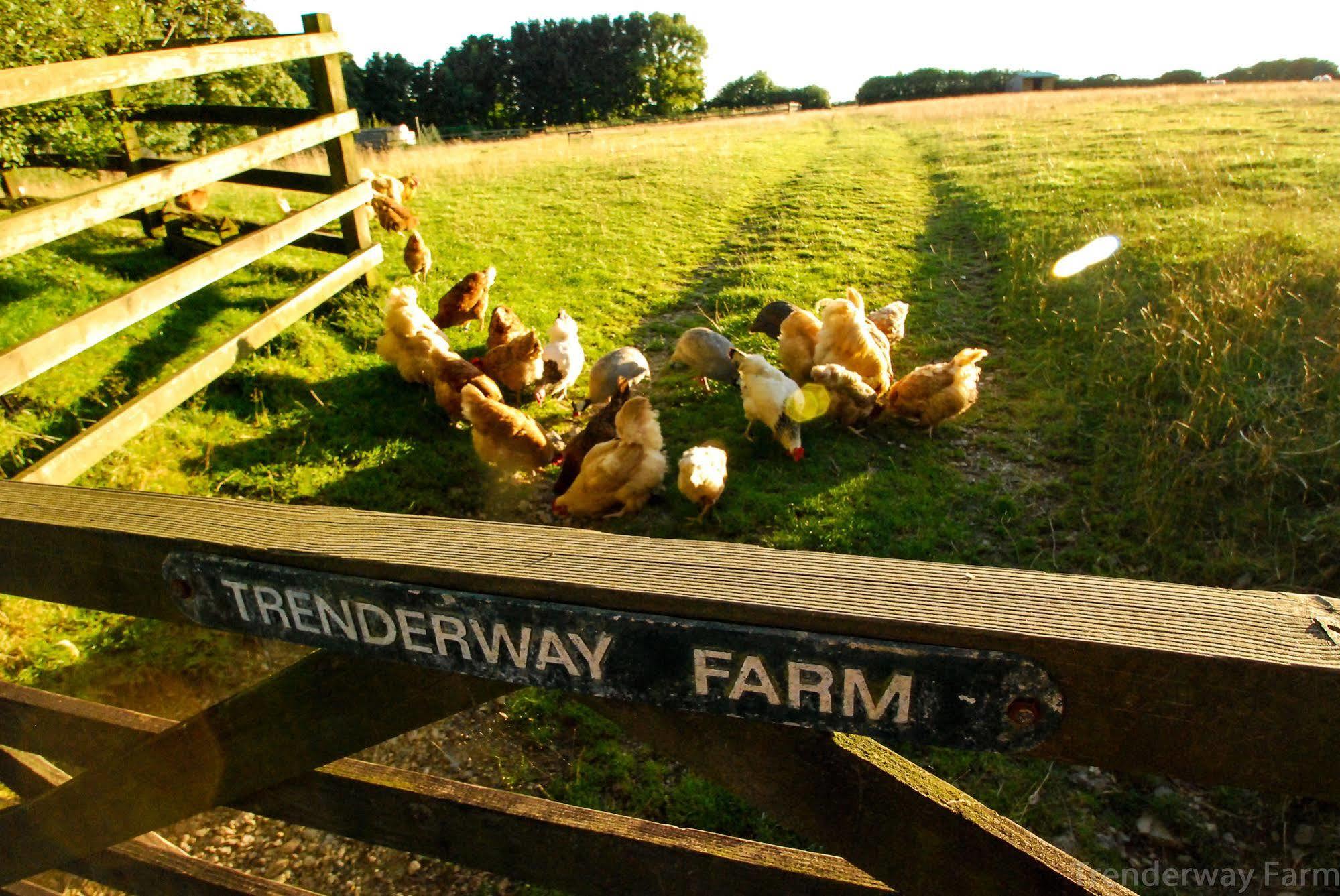 Trenderway Farm Bed & Breakfast Looe Eksteriør bilde