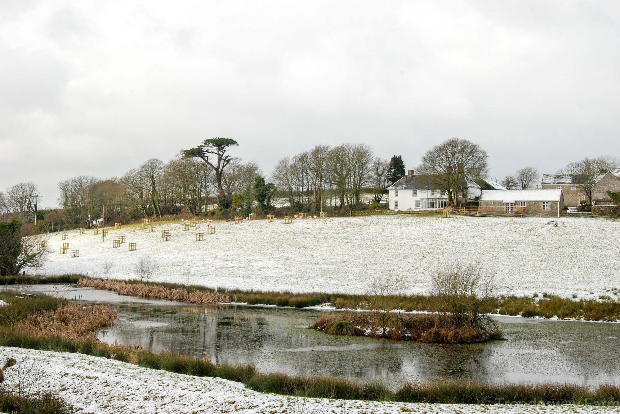 Trenderway Farm Bed & Breakfast Looe Eksteriør bilde